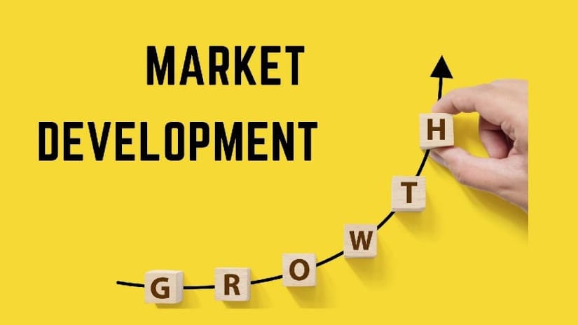 market development dan market penetration 2